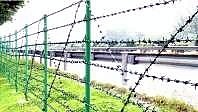 Barbed wire fencing