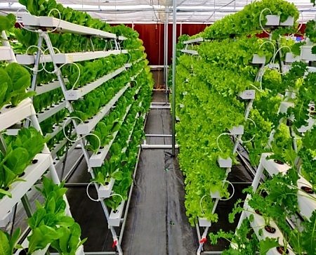 Hydroponic system