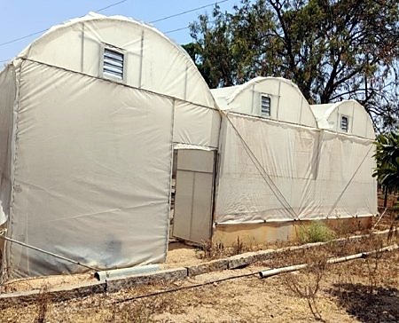 Open ventilated polyhouse