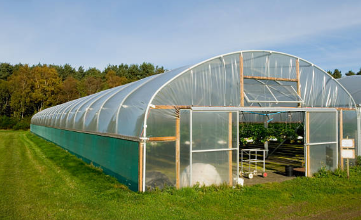 Shade net and polyhouse