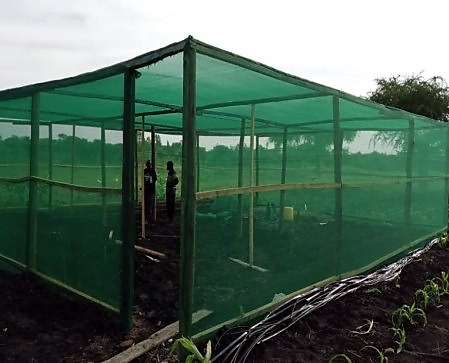 Shade net house